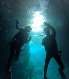 青の洞窟専門店　沖縄ダイビングショップ和に投稿された画像（2026/1/17）