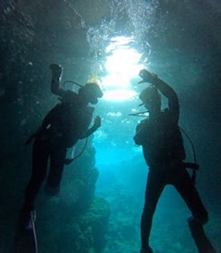 青の洞窟専門店　沖縄ダイビングショップ和に投稿された画像（2026/1/17）