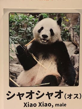 恩賜上野動物園に投稿された画像（2026/1/17）