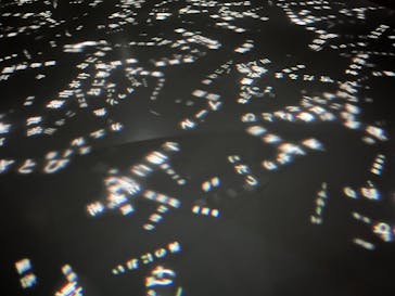 NIFREL（ニフレル）に投稿された画像（2026/1/17）