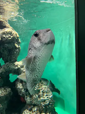 葛西臨海水族園に投稿された画像（2026/1/17）