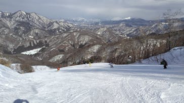 奥利根スノーパークに投稿された画像（2026/1/17）