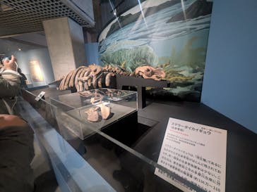 特別展「大絶滅展―生命史のビッグファイブ」に投稿された画像（2026/1/17）