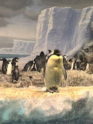 名古屋港水族館に投稿された画像（2026/1/17）