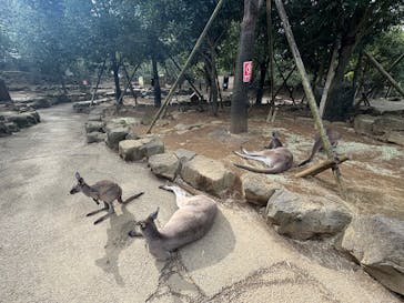 伊豆シャボテン動物公園に投稿された画像（2026/1/17）