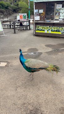 伊豆シャボテン動物公園に投稿された画像（2026/1/17）