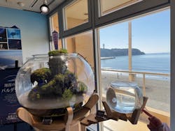 新江ノ島水族館に投稿された画像（2026/1/17）