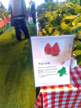 サンシャイン60展望台に投稿された画像（2026/1/17）