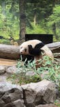 恩賜上野動物園に投稿された画像（2026/1/17）