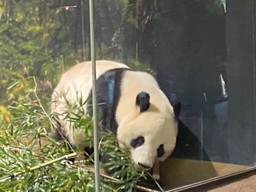 恩賜上野動物園に投稿された画像（2026/1/17）