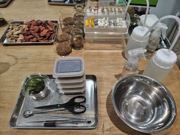 HandMade In Japan Fes' 冬(2026)に投稿された画像（2026/1/17）