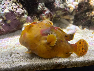 仙台うみの杜水族館に投稿された画像（2026/1/17）