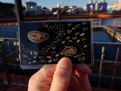 横浜・八景島シーパラダイスに投稿された画像（2026/1/17）