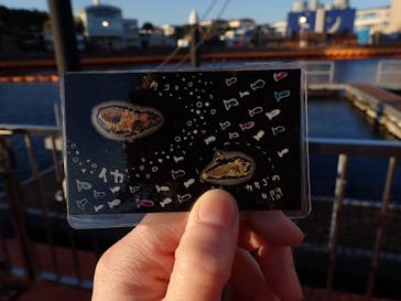 横浜・八景島シーパラダイスに投稿された画像（2026/1/17）