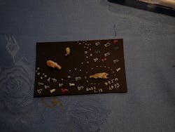 横浜・八景島シーパラダイスに投稿された画像（2026/1/17）