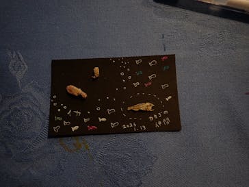 横浜・八景島シーパラダイスに投稿された画像（2026/1/17）