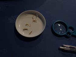 横浜・八景島シーパラダイスに投稿された画像（2026/1/17）