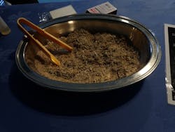 横浜・八景島シーパラダイスに投稿された画像（2026/1/17）