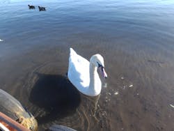 SHUSUIYAに投稿された画像（2026/1/17）