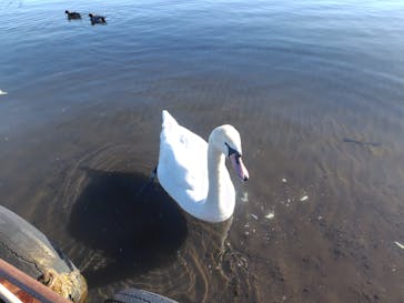 SHUSUIYAに投稿された画像（2026/1/17）