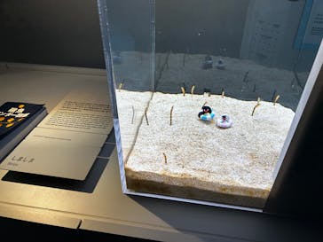 AOAO SAPPOROに投稿された画像（2026/1/17）