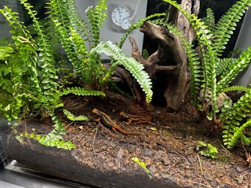 AOAO SAPPOROに投稿された画像（2026/1/17）