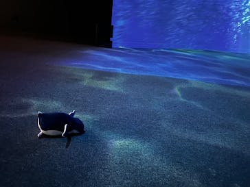 AOAO SAPPOROに投稿された画像（2026/1/17）