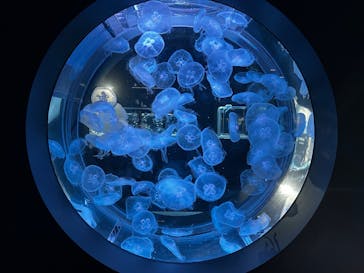 AOAO SAPPOROに投稿された画像（2026/1/17）