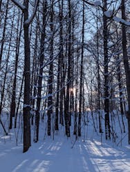 n.s rideに投稿された画像（2026/1/17）