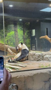 恩賜上野動物園に投稿された画像（2026/1/17）