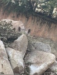 天王寺動物園に投稿された画像（2026/1/17）