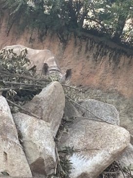 天王寺動物園に投稿された画像（2026/1/17）