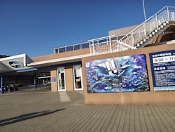 アクアワールド茨城県大洗水族館に投稿された画像（2026/1/17）