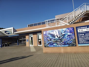 アクアワールド茨城県大洗水族館に投稿された画像（2026/1/17）