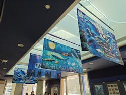 アクアワールド茨城県大洗水族館に投稿された画像（2026/1/17）