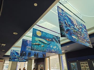 アクアワールド茨城県大洗水族館に投稿された画像（2026/1/17）