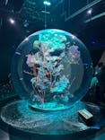 AQUARIUM × ART　atoaに投稿された画像（2026/1/17）