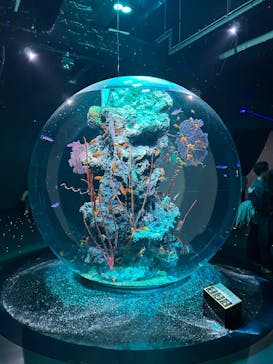 AQUARIUM × ART　atoaに投稿された画像（2026/1/17）