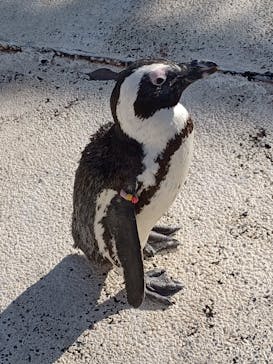 横浜・八景島シーパラダイスに投稿された画像（2026/1/17）