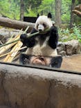 恩賜上野動物園に投稿された画像（2026/1/17）