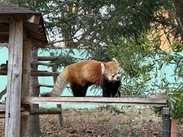 千葉市動物公園に投稿された画像（2026/1/17）