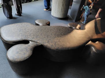 京都水族館に投稿された画像（2026/1/17）