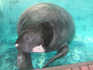 熱川バナナワニ園に投稿された画像（2026/1/17）