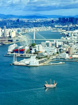 さきしまコスモタワー展望台に投稿された画像（2026/1/17）