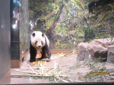 恩賜上野動物園に投稿された画像（2026/1/17）