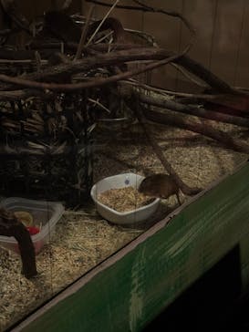 天王寺動物園に投稿された画像（2026/1/17）