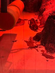 天王寺動物園に投稿された画像（2026/1/17）