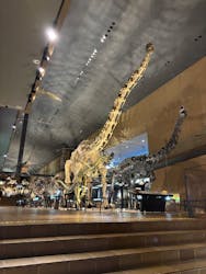 北九州市立自然史・歴史博物館（いのちのたび博物館）に投稿された画像（2026/1/17）