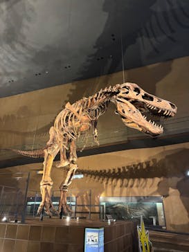 北九州市立自然史・歴史博物館（いのちのたび博物館）に投稿された画像（2026/1/17）