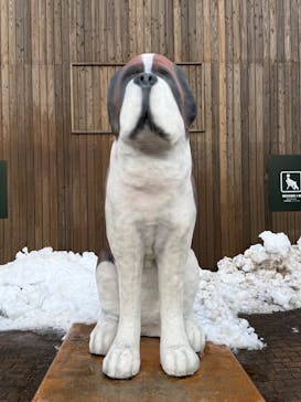 那須どうぶつ王国に投稿された画像（2026/1/17）